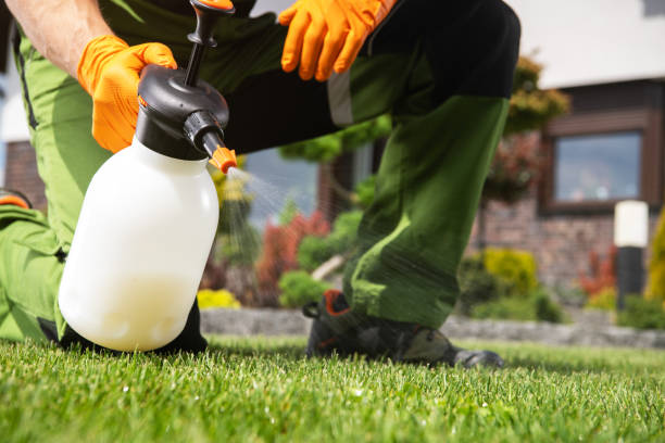 Best Wasp Removal Services  in Barstow, CA