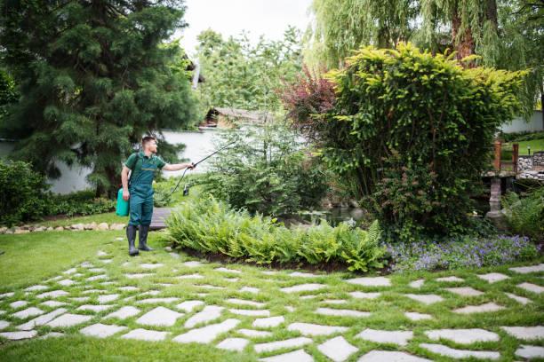 Best Commercial Pest Control Services  in Barstow, CA
