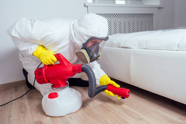 Best Pest Removal Services  in Barstow, CA
