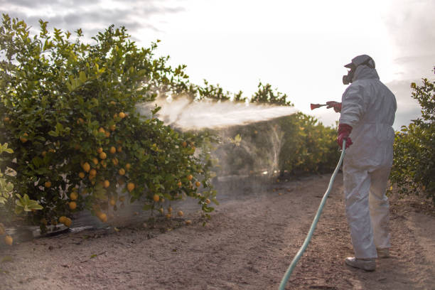 Best Affordable Pest Control Services  in Barstow, CA