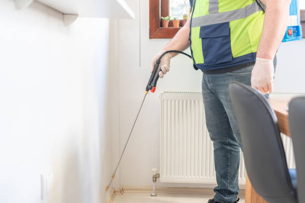 Best Termite Control Services  in Barstow, CA