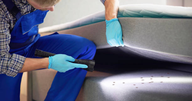 Best Emergency Pest Control  in Barstow, CA