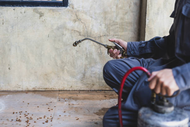 Best Mosquito Control Services  in Barstow, CA