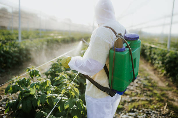 Best Exterminator Services  in Barstow, CA